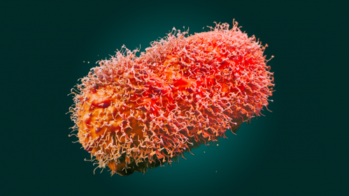 Elsevier releases Monkeypox Information Centre – Portal for research on virus